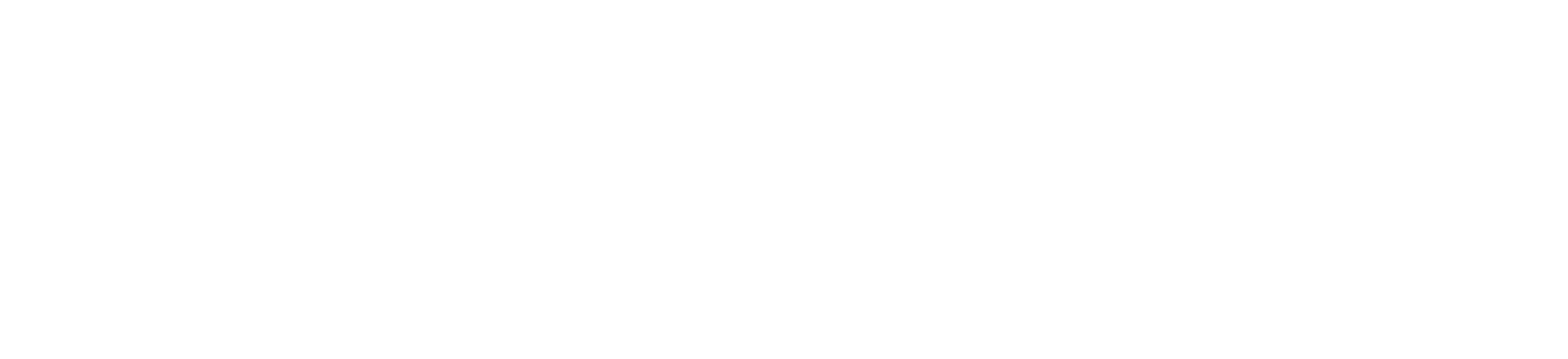 Optura Logo